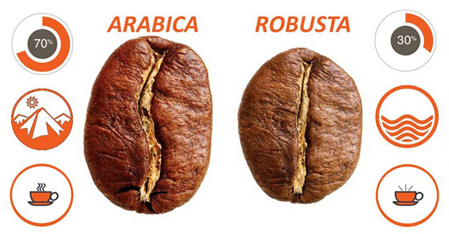 Đánh giá cà phê robusta và arabica loại nào ngon hơn