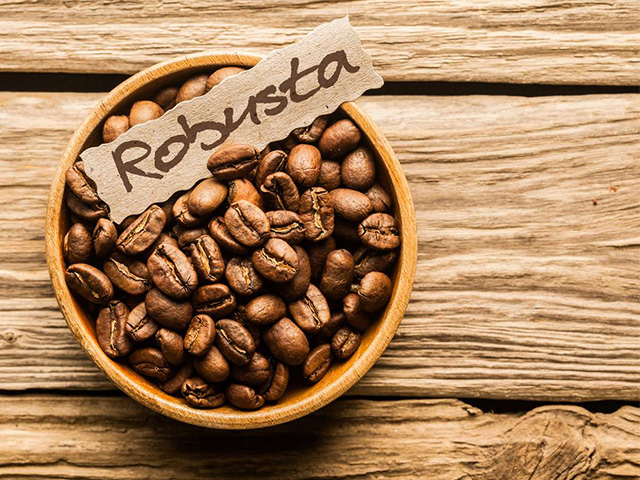 Cà phê hạt robusta rang mộc cho quán theo yêu cầu
