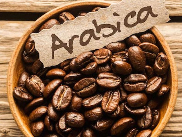 Cà phê hạt arabica rang mộc chuyên dùng cho quán
