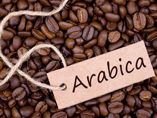 Cà phê arabica là gì và cách nhận biết